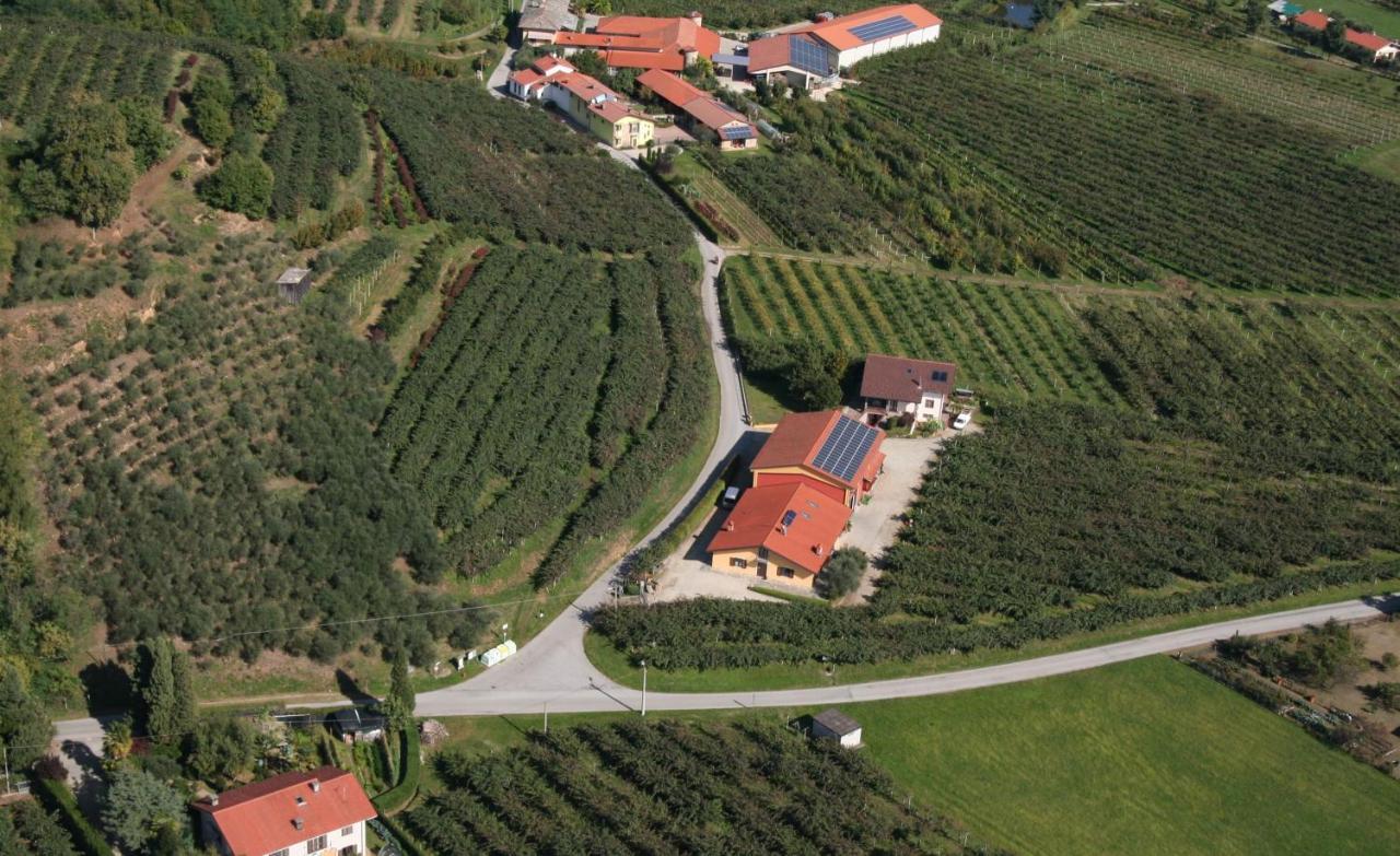 Bed and Breakfast Agrialpi by Salfrutta Bricherasio Esterno foto