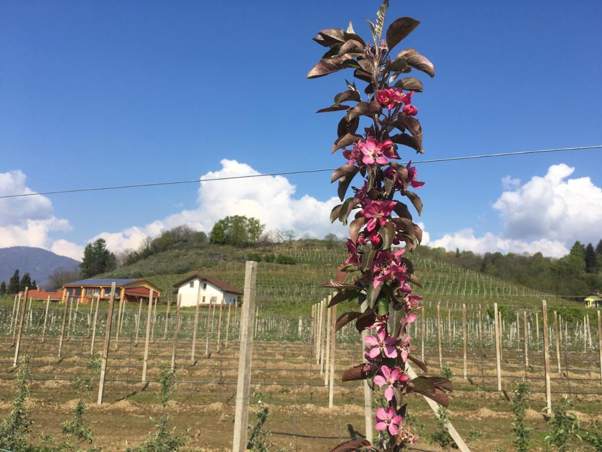 Bed and Breakfast Agrialpi by Salfrutta Bricherasio Esterno foto