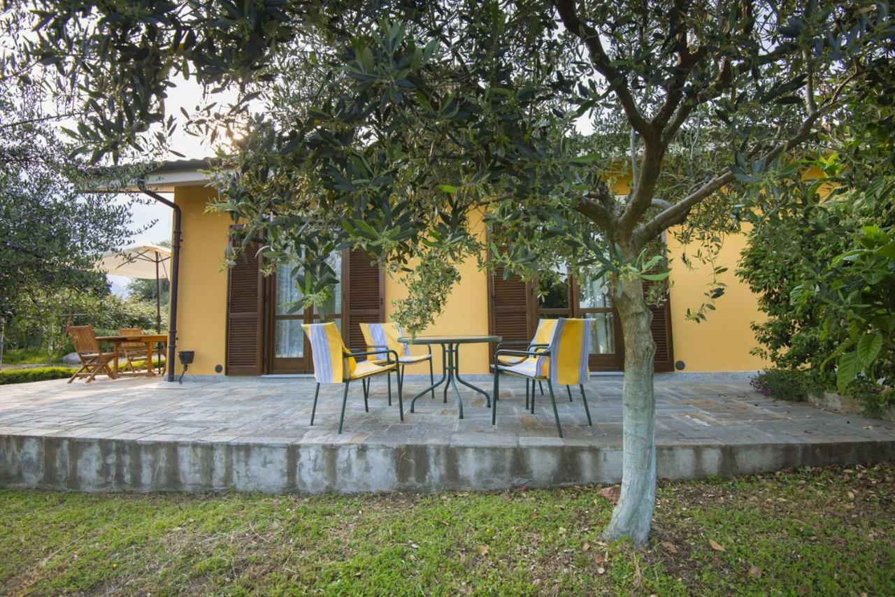 Agrialpi by Salfrutta Bed and Breakfast Bricherasio Esterno foto