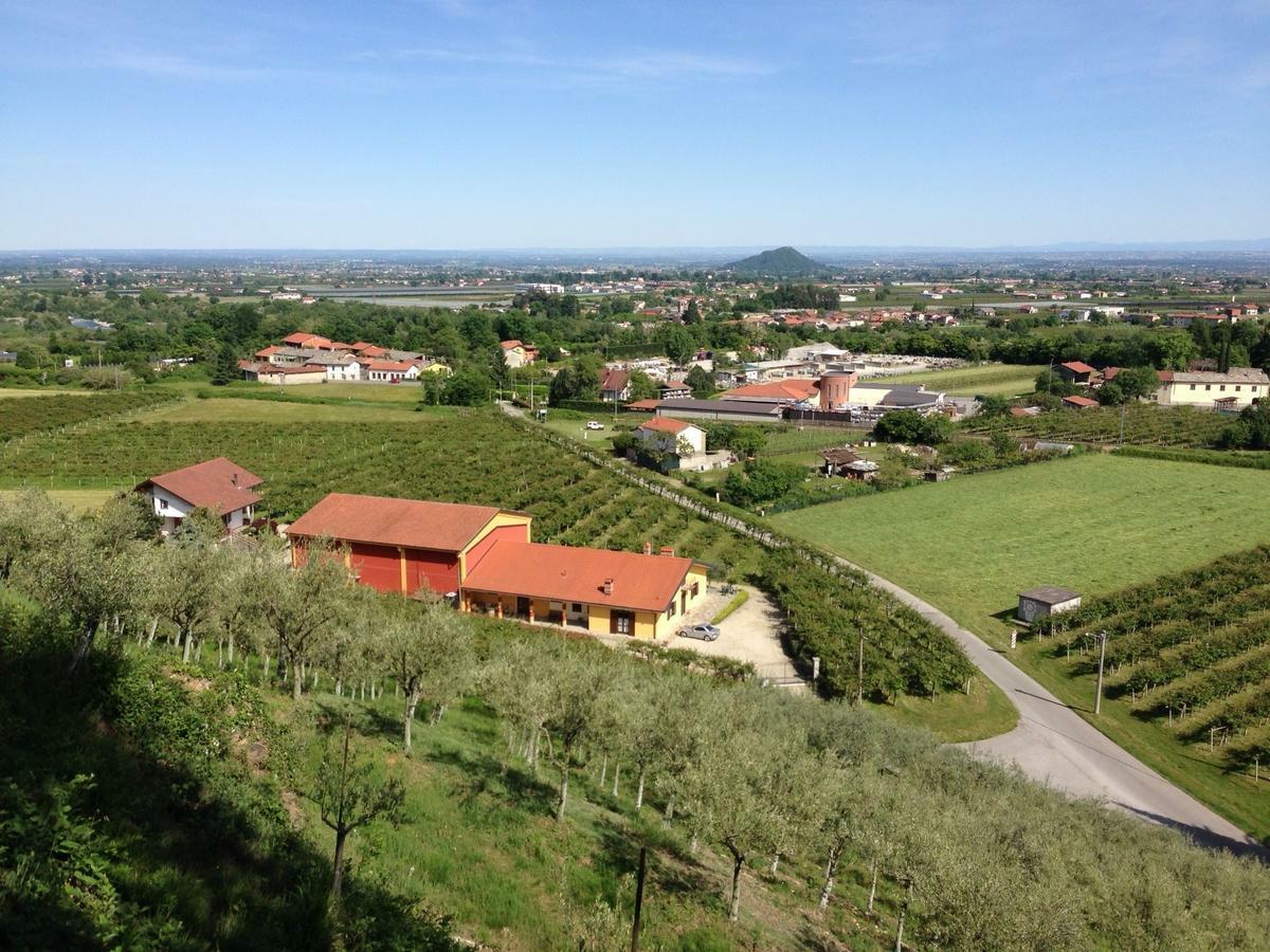Bed and Breakfast Agrialpi by Salfrutta Bricherasio Esterno foto
